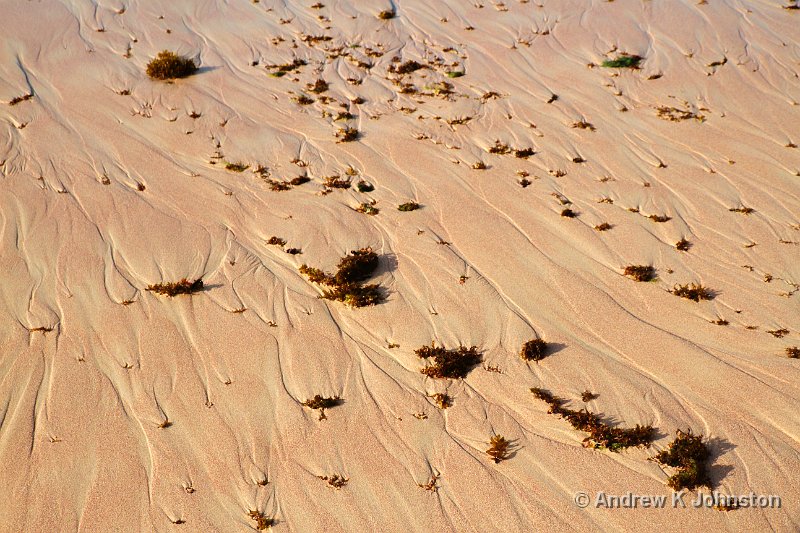 0411_7D_5029.jpg - Sand detail, Skeete's Bay