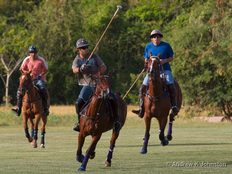 0409_40D_7529.jpg - Polo practice at Holders'