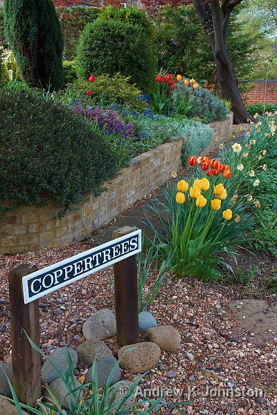 0510_40D_0760a.jpg - The Spring display outside Coppertrees