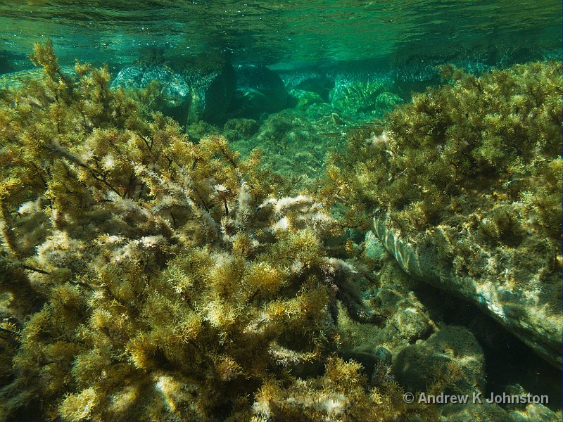 1009_G10_1013.JPG - Sunlight, coral and the waves from underneath