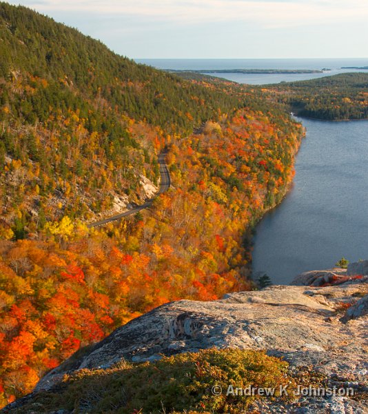 1008_40D_4936.jpg - View from Bubble Rock, Acadia National Park, Maine