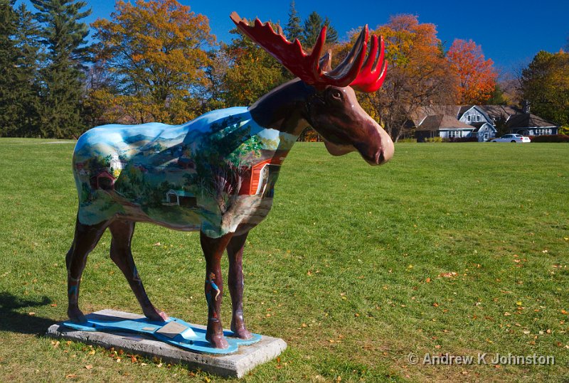 1008_40D_5100.jpg - Moose statue in Bennington, Vermont