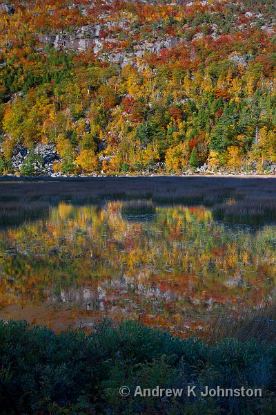 1008_40D_4470.jpg - Reflections on The Tarn, Acadia National Park, Maine