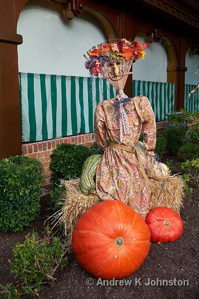 0914_GX7_1070276.JPG - Fall display in Gatlinburg