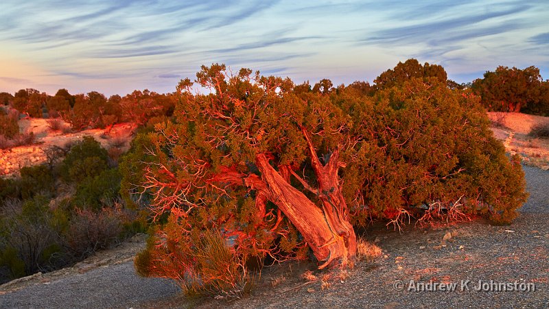 1012_7D_1677.jpg - Angel Peak, New Mexico