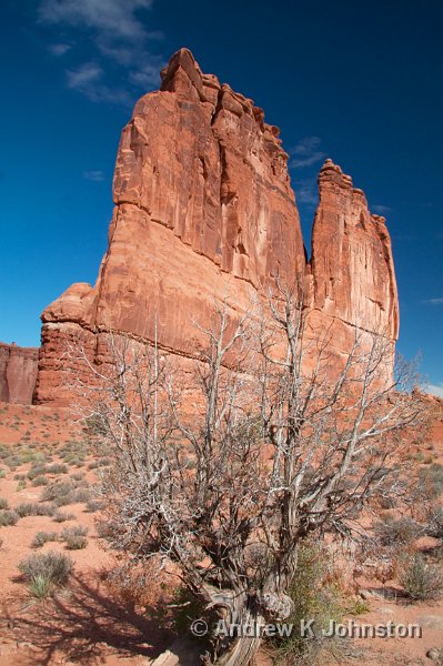 1007_350D_8101.jpg - Courthouse Rock, Arches NP, Utah