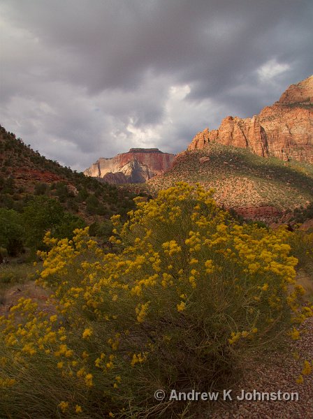 1007_350D_8684.jpg - On the road into Zion National Park, Utah