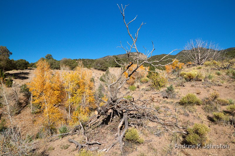 1012_7D_2421.jpg - At the Great Sand Dunes National Park, Colorado