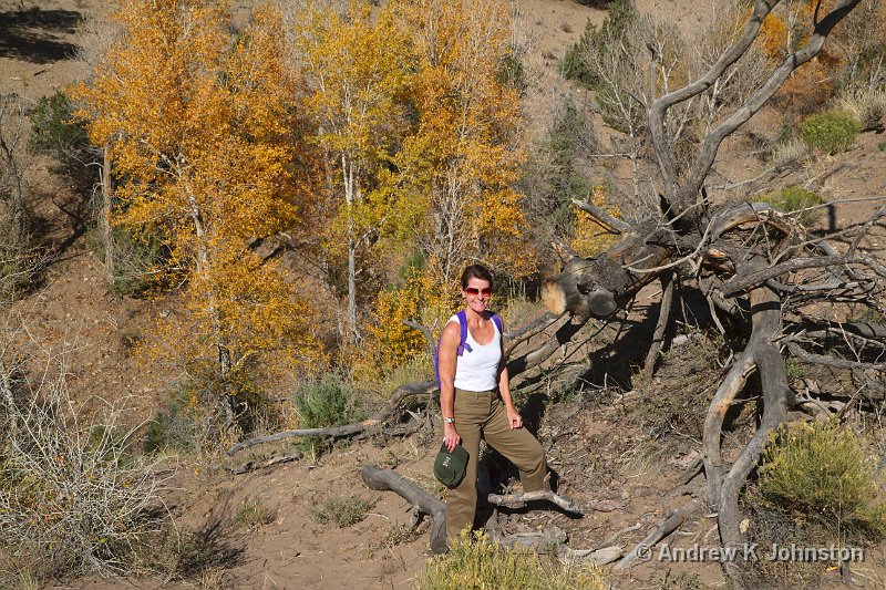 1012_7D_2423.jpg - At the Great Sand Dunes National Park, Colorado