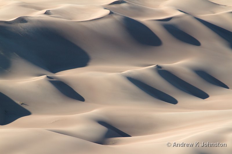 1012_7D_2447.jpg - At the Great Sand Dunes National Park, Colorado