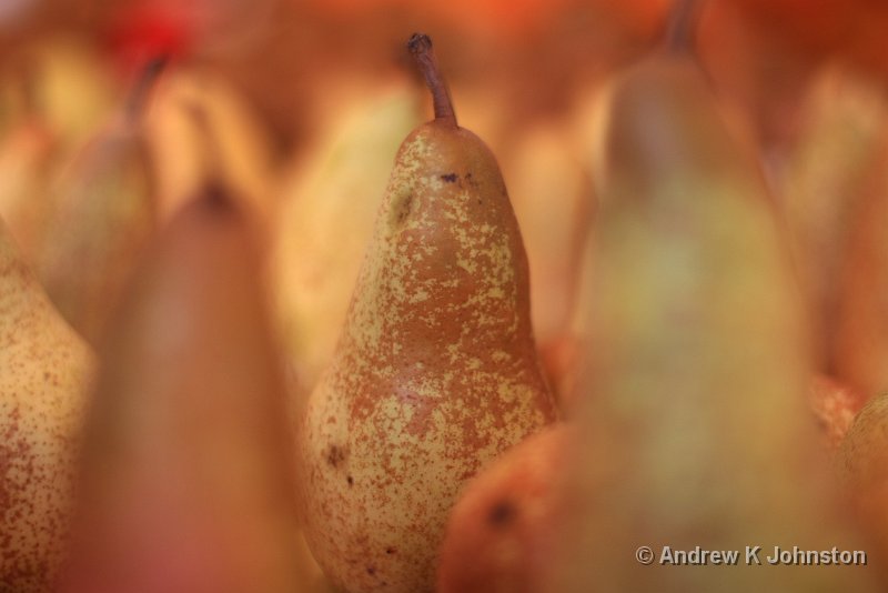 0209_40D_5949.JPG - A Nice Pear!