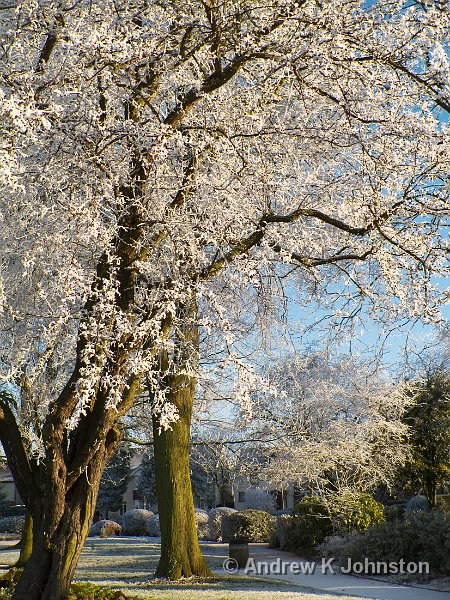 1210_G10_1128.jpg - Frost detail, Hinckley