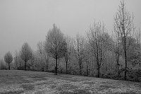 1210_G10_1104