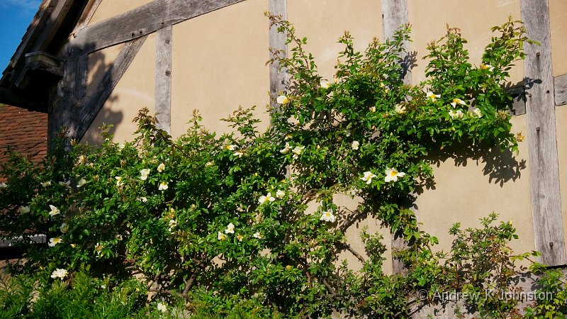 P1000078.jpg - Detail from the side of Shakespeare's birthplace, Stratford-on-Avon