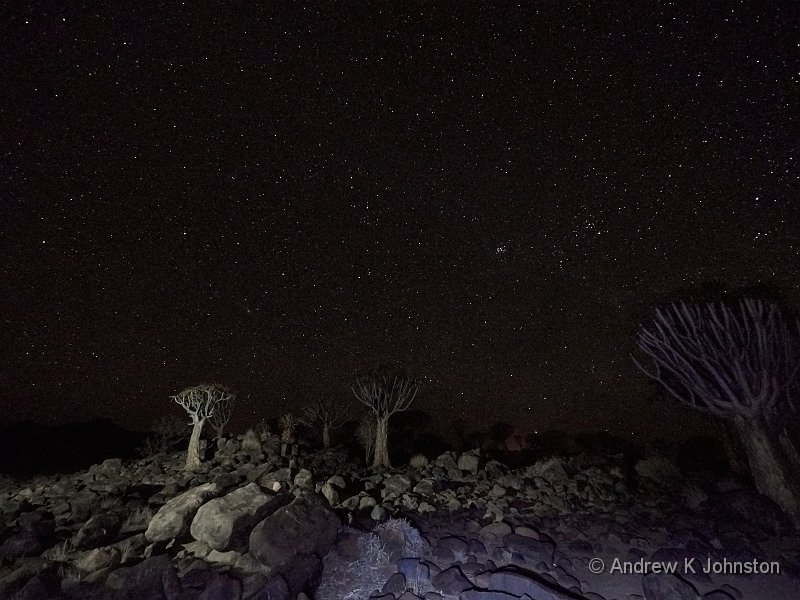 181126_G9_1005139.jpg - Night-time over the quiver trees