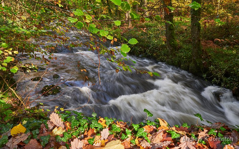 201103_G9_1010316.jpg - View from Buckland Bridge