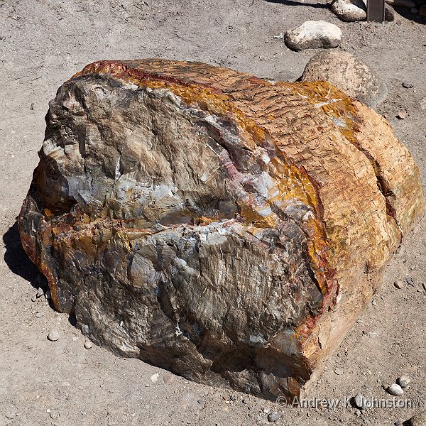 230921_G9_1070483.JPG - Escalante Petrified Forest State Park