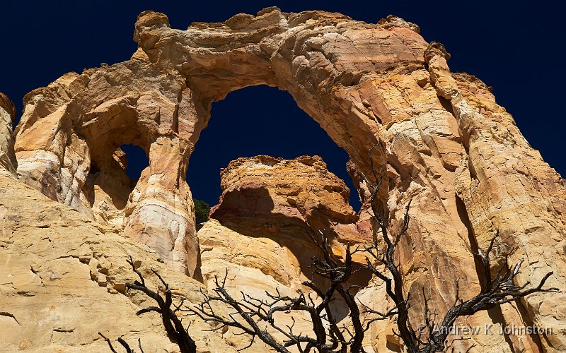 230926_G9_1081195.JPG - Grosvenor Arch and Branches