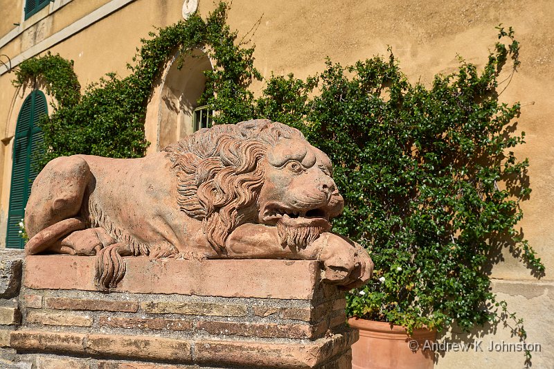 240929_G9ii_1006991.jpg - Friendly Lion, Lucignano d'Asso