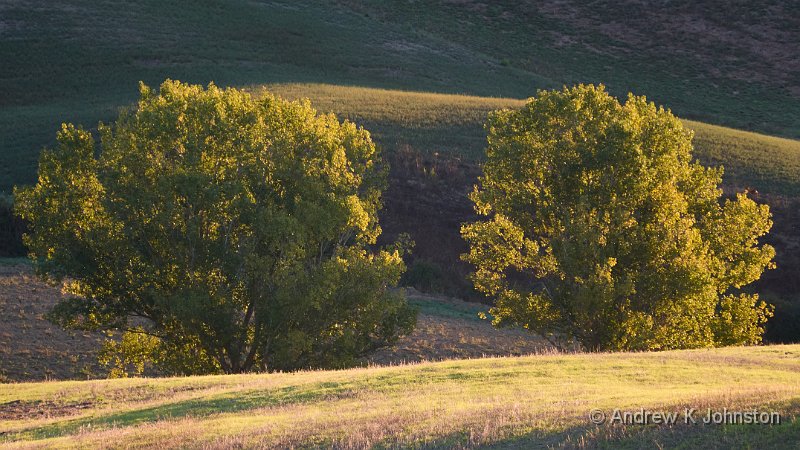 240930_G9ii_1007135-2.jpg - San Quirico d'Orcia