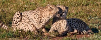 250612_G9ii_1030151