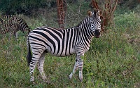 250618_G9ii_1064908