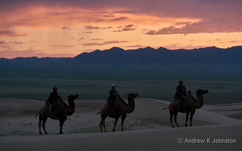 250727_G9ii_1065310.jpg - Camels in the Khongor Dunes