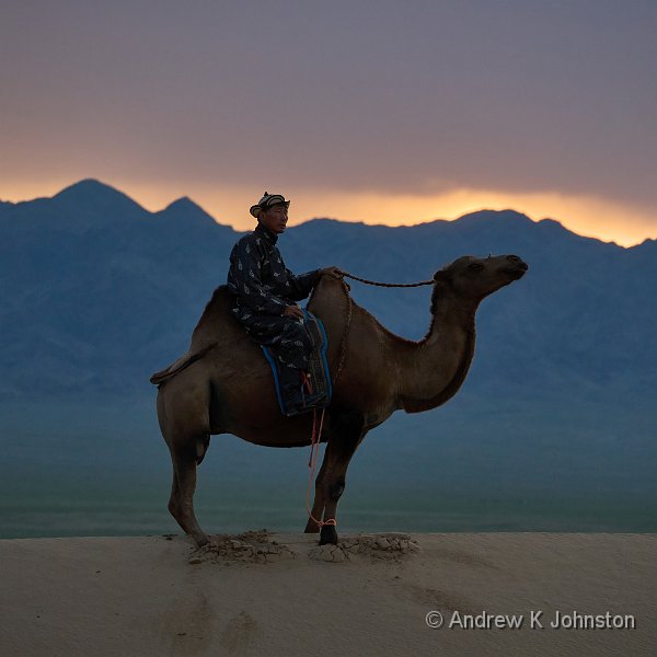250727_G9ii_1065341.jpg - Camel in the Khongor Dunes