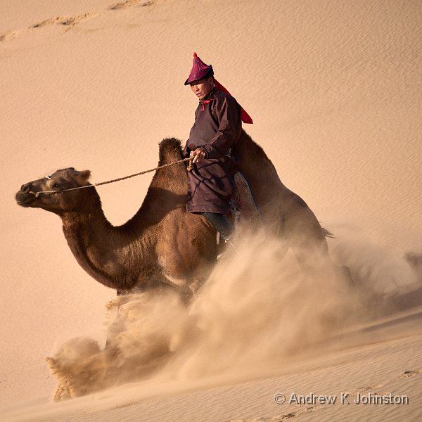 250727_G9ii_1065445.jpg - Descending Camel